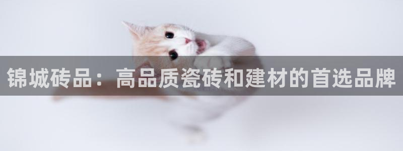 杏鑫注册平台官方网站是什么