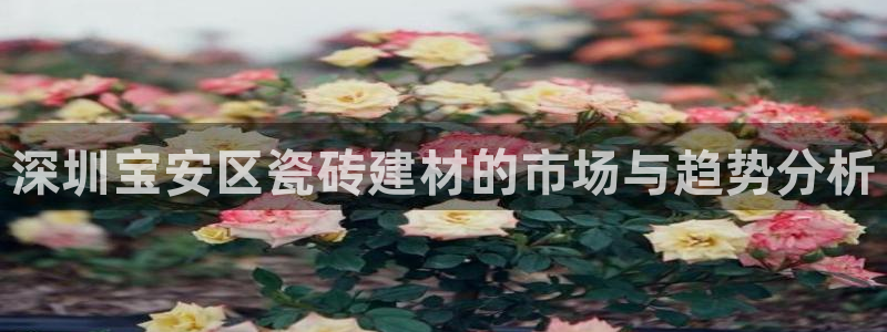 杏鑫平台招商怎么样可靠吗