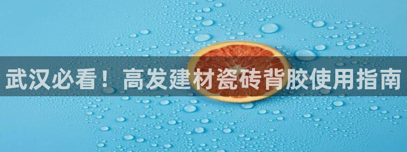 杏鑫官网注册账号是什么意思