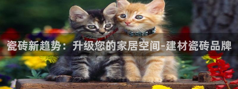 杏鑫官方平台怎么样啊知乎