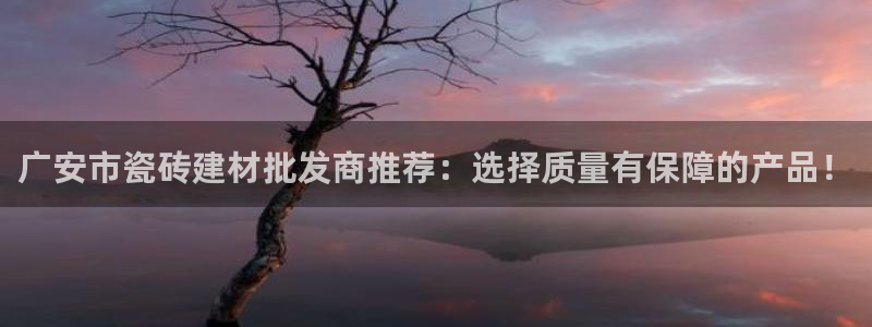 杏鑫平台登录地址在哪