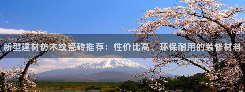 杏鑫平台代理注册多少钱啊