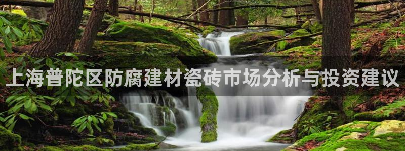 杏鑫注册登录平台