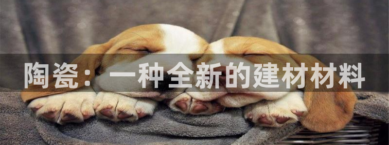 杏鑫平台注册网址查询