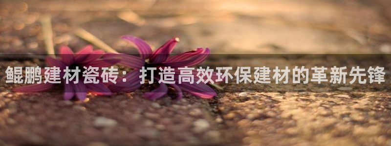 杏鑫平台怎么样黑钱吗知乎推荐