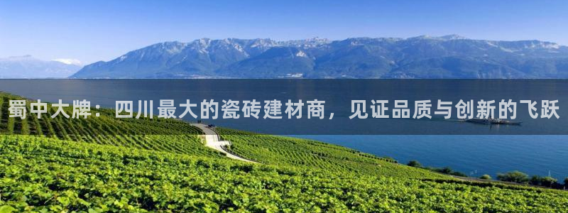 杏鑫平台登录地址是什么