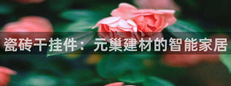 杏鑫平台怎么样