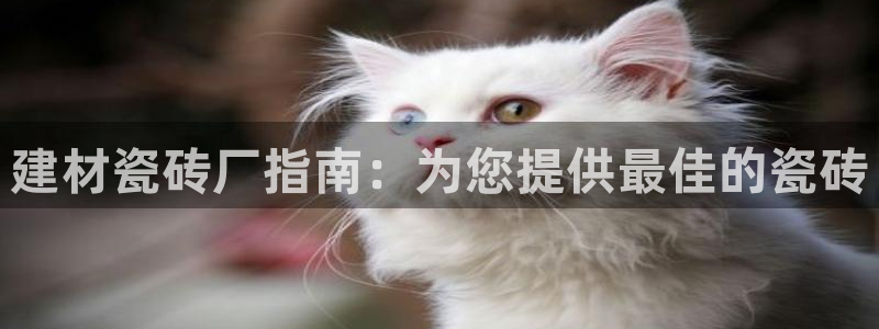 杏鑫官网注册账号密码忘了