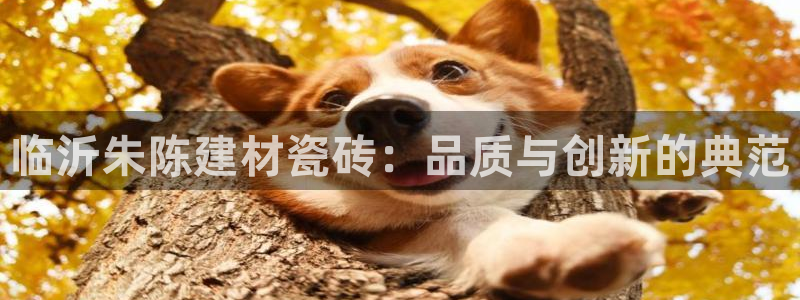 杏鑫平台代理怎么样可靠吗