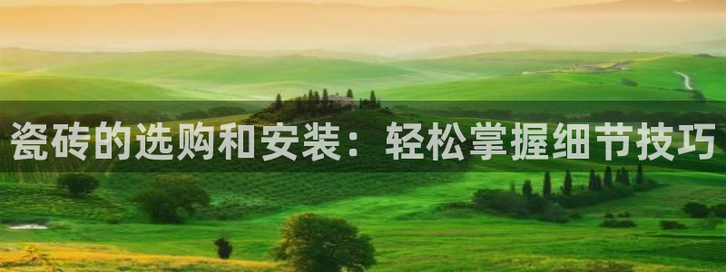杏鑫注册登录代理公司