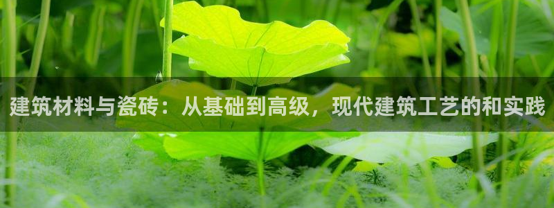 杏鑫平台怎么样黑钱吗