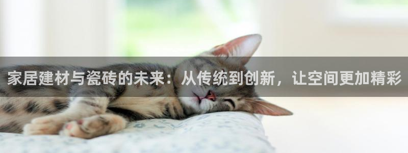 杏鑫平台代理注册登录不了怎么办呀视频