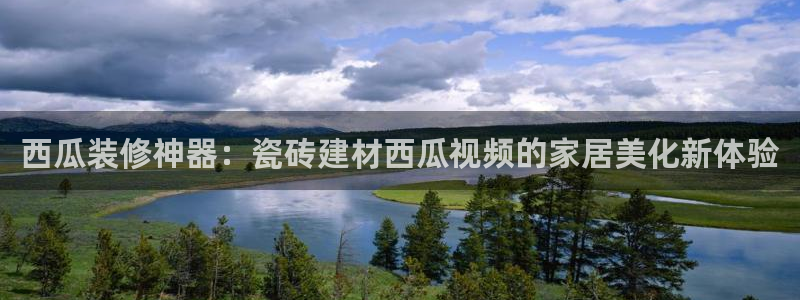 杏鑫平台代理注册流程图