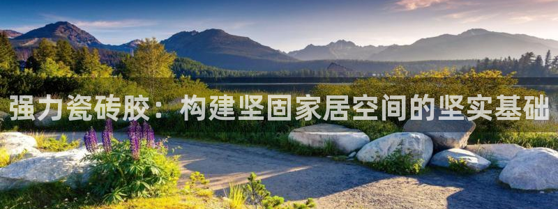 杏鑫平台登录