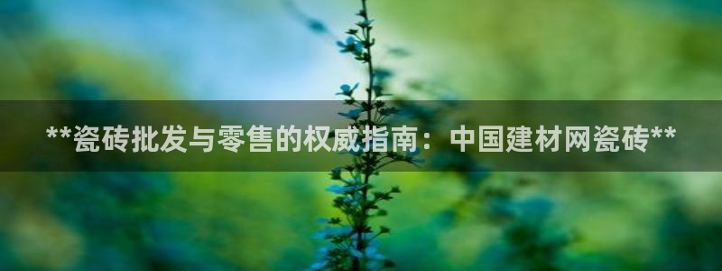 杏鑫娱乐平台测速怎么样