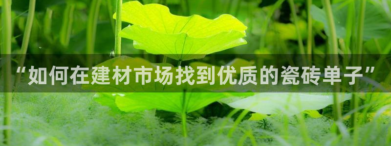 杏鑫平台招商电话