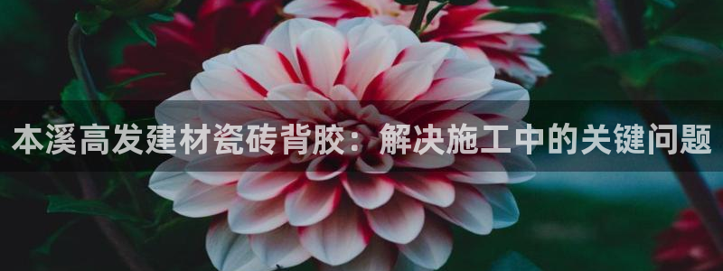 杏鑫平台注册入口