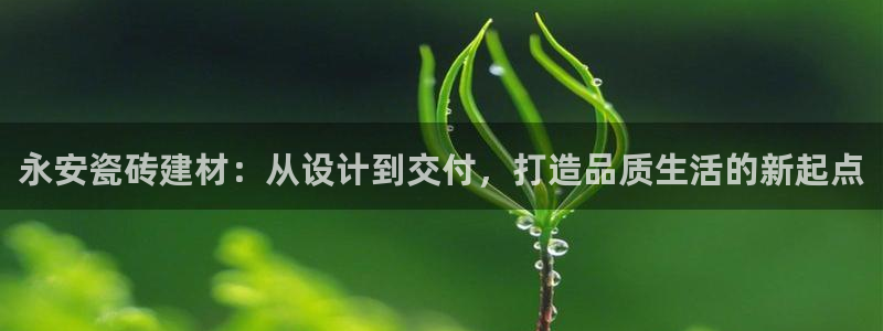 杏鑫娱乐多少年了